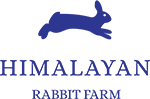 rabbit logo
